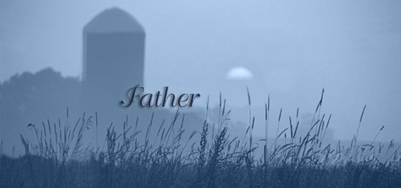 P 334 BL Harvest Sunrise Father Blue